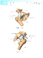 Sobotta  Atlas of Human Anatomy  Trunk, Viscera,Lower Limb Volume2 2006, page 285